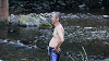 camp28 (619)_thumb.png